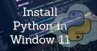 Install Python in Windows 11